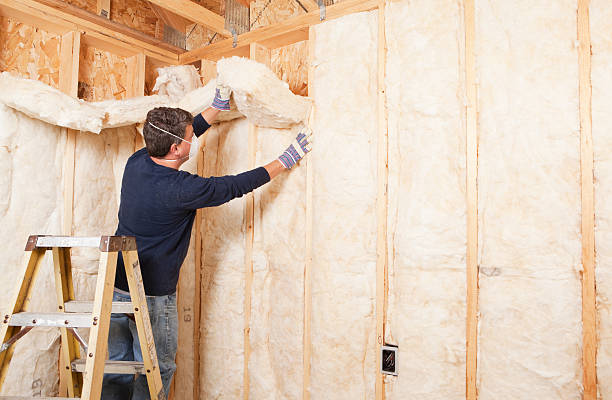 Best Batt and Roll Insulation  in Nokesville, VA